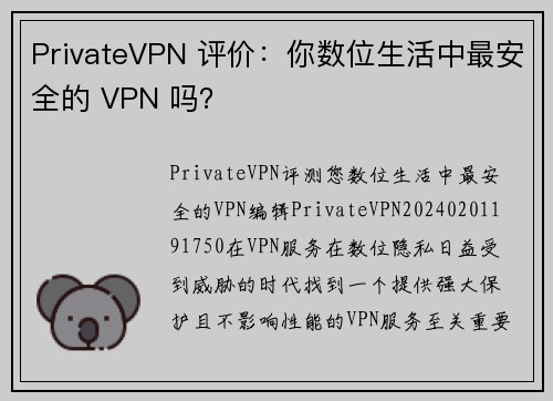 PrivateVPN 评价：你数位生活中最安全的 VPN 吗？